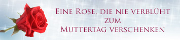 Rose zum Muttertag verschenken