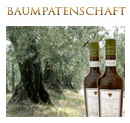 Echte Sternschnuppen