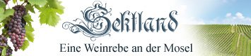 sektpatenschaft