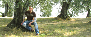 Ein Olivenbaum in der Toskana