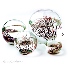 Ecosphere Kugelform