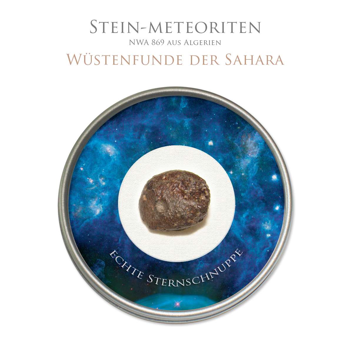 Steinmeteorit NWA 869 Sammlerstücke mit Schauglas-Schatulle