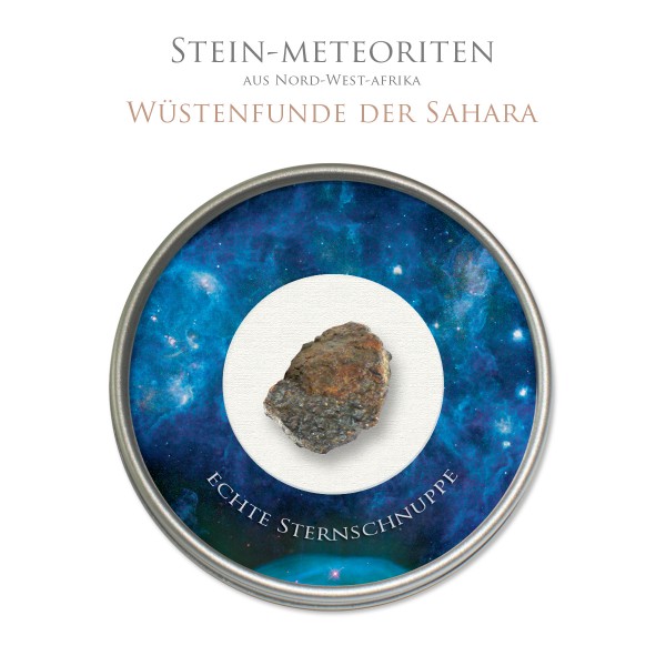 Steinmeteorit Nordafrika