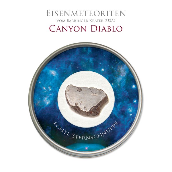 Eisenmeteorit Canyon Diablo Schnittstück