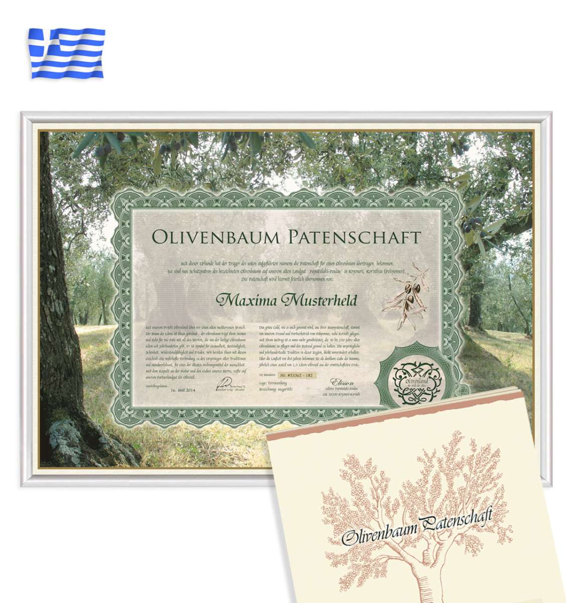 Olivenbaum Patenschaft 3 Jahre Griechenland | Jhrlich Ernte von gekrntem  Bio-Olivenl