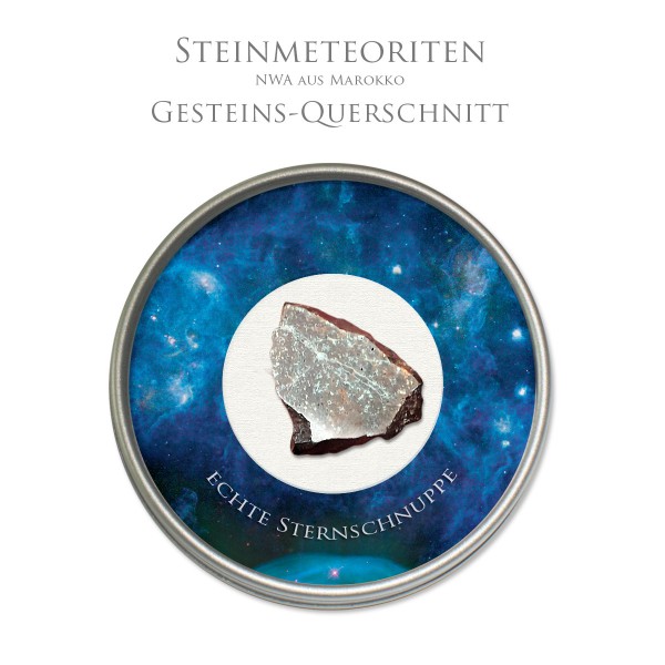 Steinmeteorit NWA Schnittstück