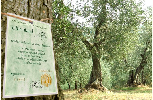 Olivenl Geschenk vom eigenen Baum | Mondland Geschenkideen